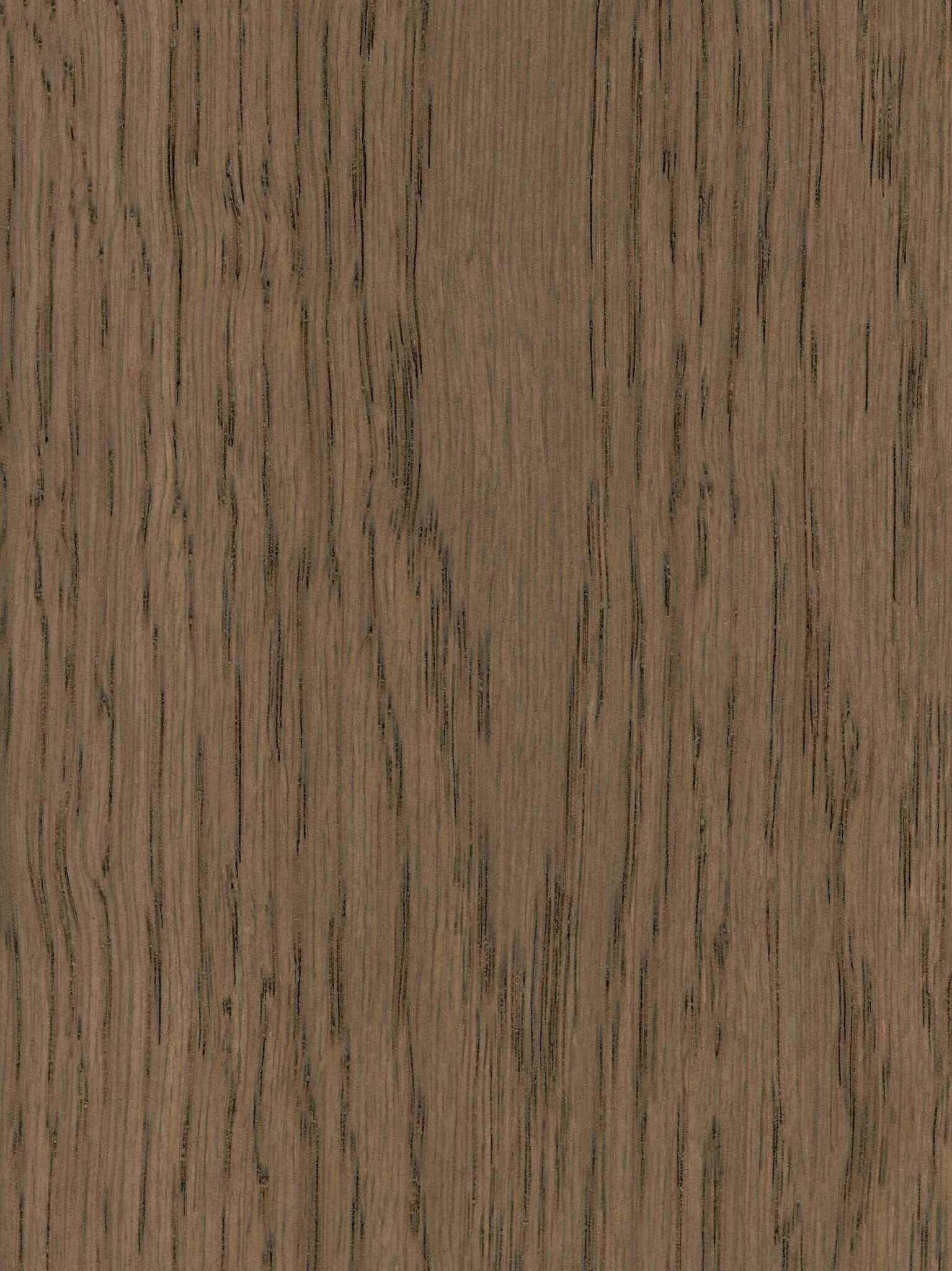 IEHF_Minnesota Oak