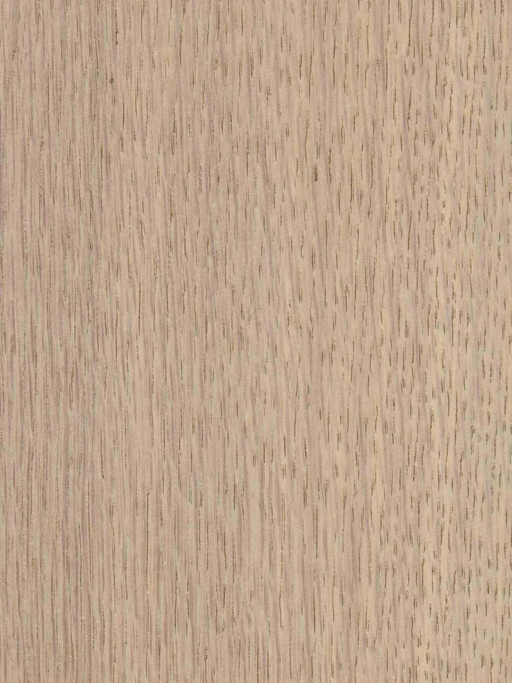 IEHF_Siberian Oak