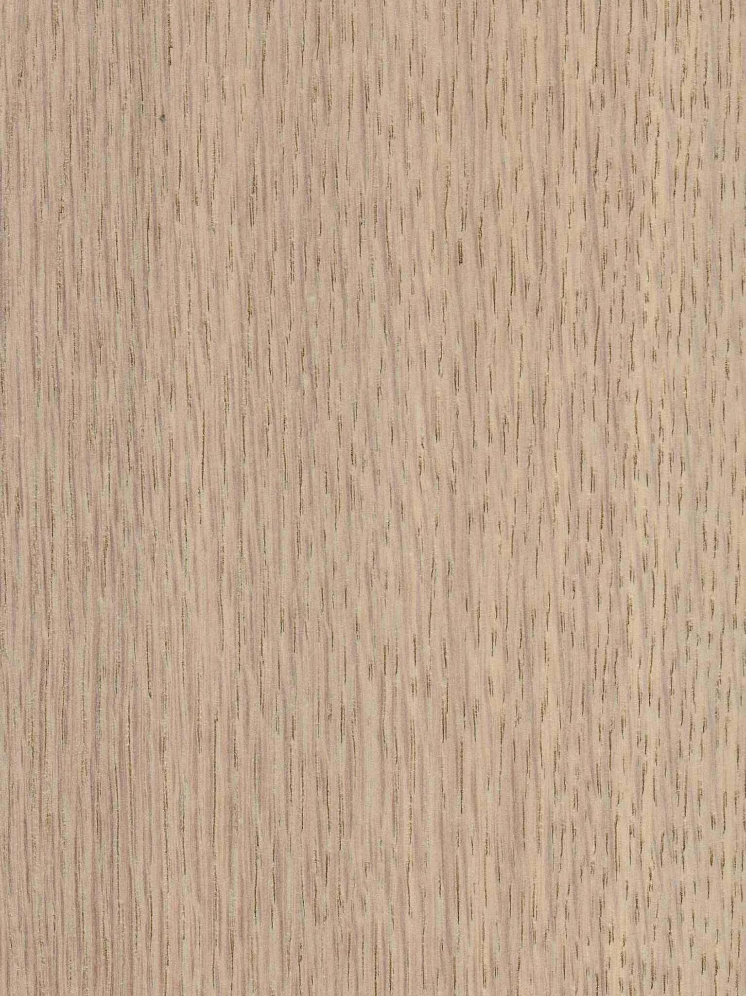 IEHF_Siberian Oak