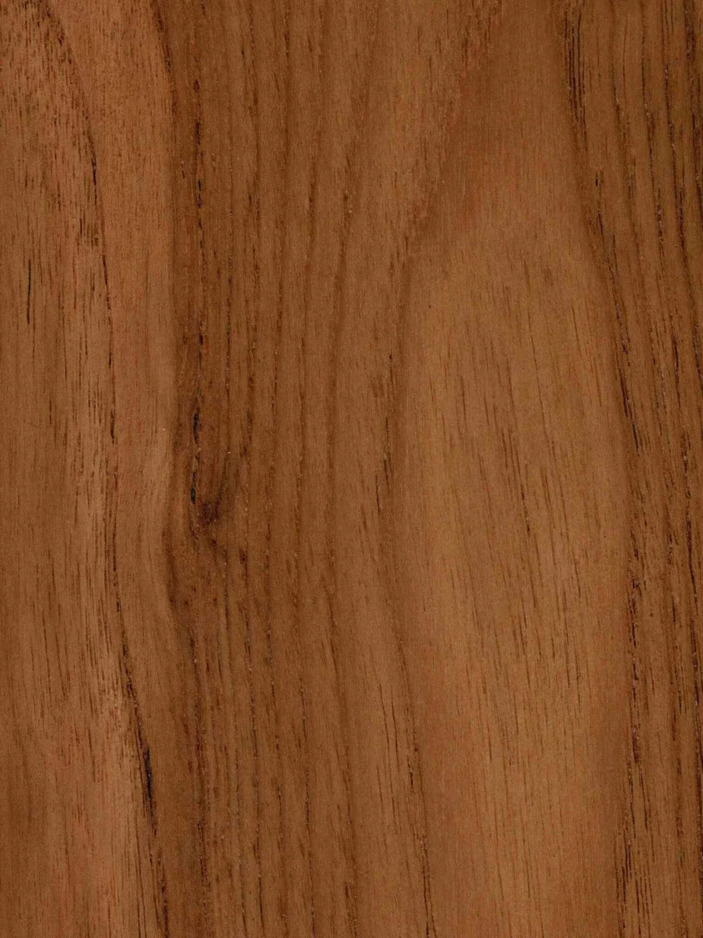 IEHF_Teak