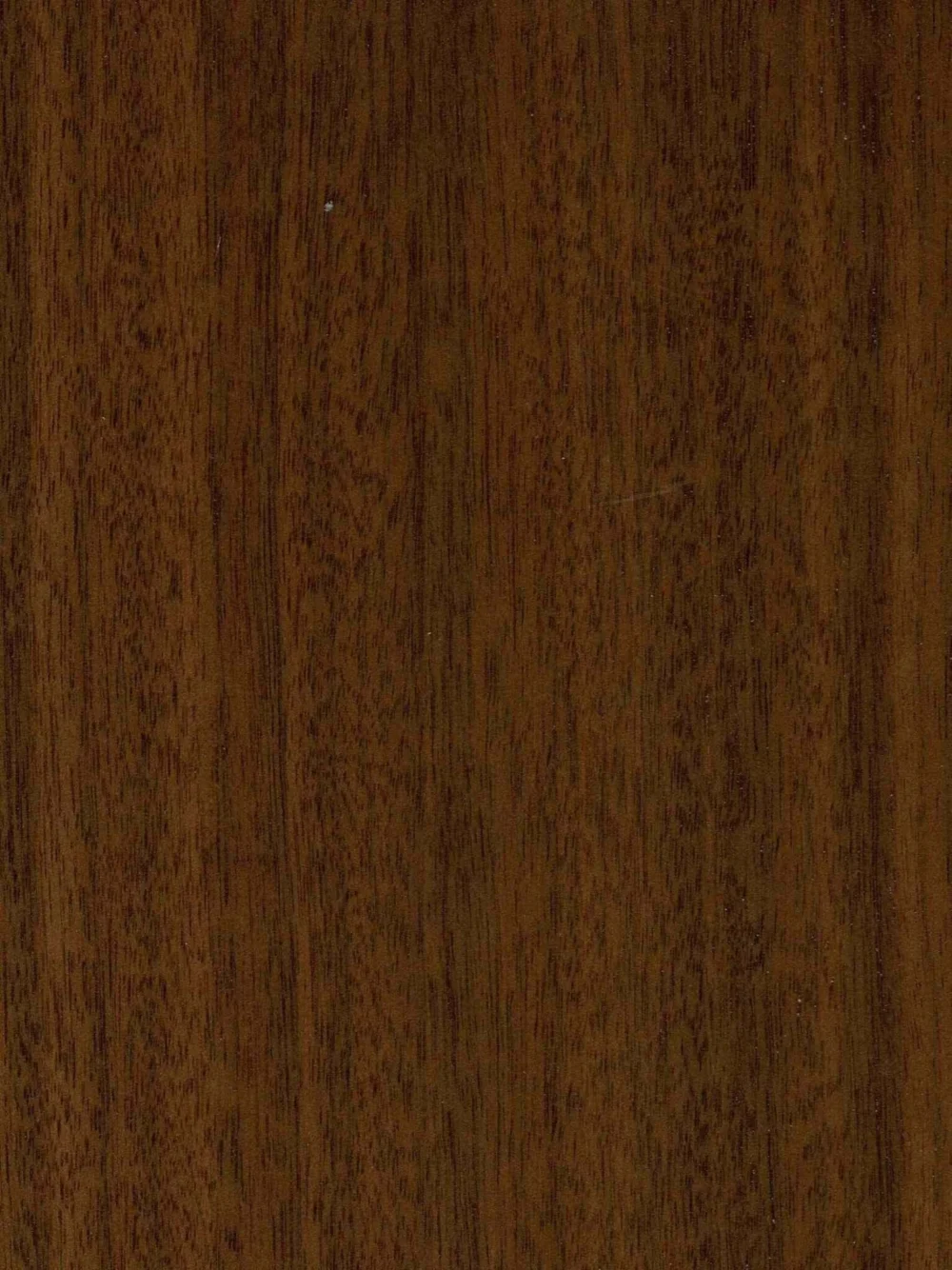 IEHF_Tennessee Walnut