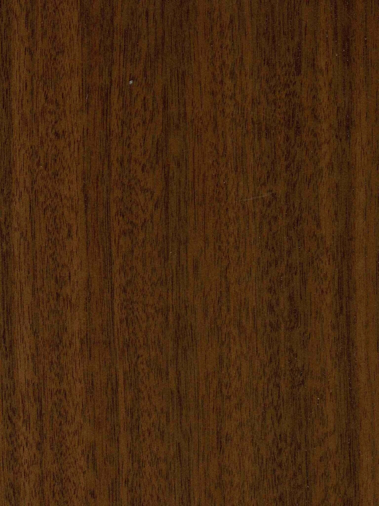 IEHF_Tennessee Walnut