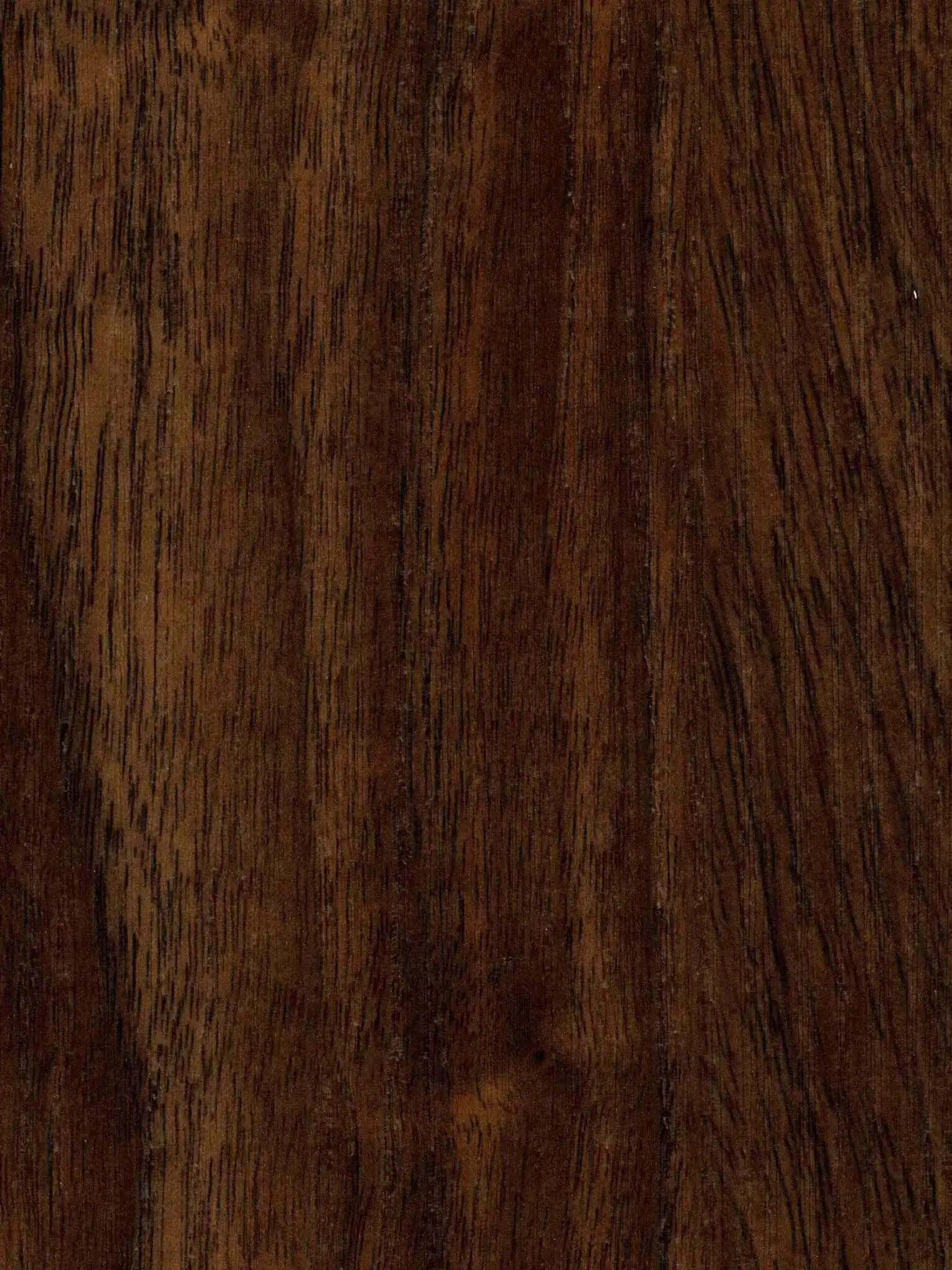 SPC_Walnut